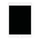 LCD Displej pre iPad Mini 5, White, Dotykové sklo bez rámu, Refurbished