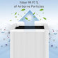 Blueair Blue Pure 211+ - HEPA filter (Aktívny uhlík)