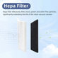 HEPA filter, 2 ks pre Rowenta X-plorer S65, S65+, S70, S70+, S75s, S75s+