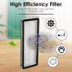 HEPA filter, 2 ks pre Xiaomi Roborock Qrevo Curv, Qrevo Edge, Qrevo MaxV, Qrevo Pro, Qrevo Plus, QV-series