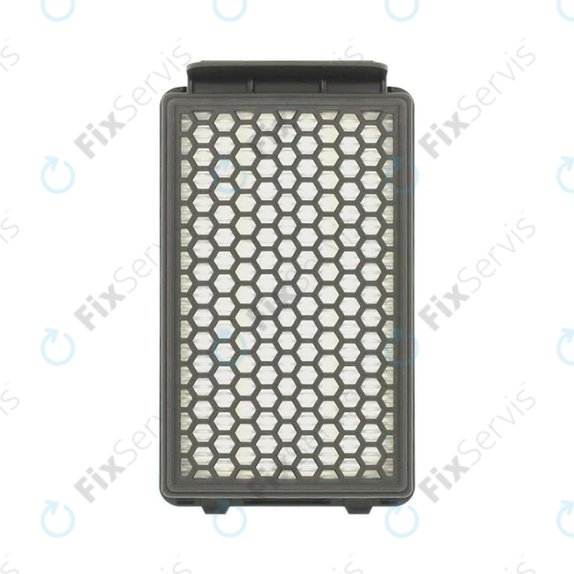 HEPA filter ZR903501, 2 ks pre Rowenta Compact Power