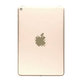 Apple iPad Mini 5 - Zadný Housing 4G Verzia (Gold)
