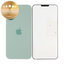 Sklo Zadného Housingu pre iPhone 16 | Teal | 661-44805 | Genuine Apple