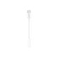 Huawei - Adaptér 3,5mm Jack / USB-C - 55030086