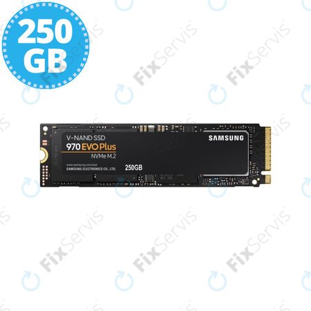 Samsung 970 EVO Plus - SSD 2.5" 250GB