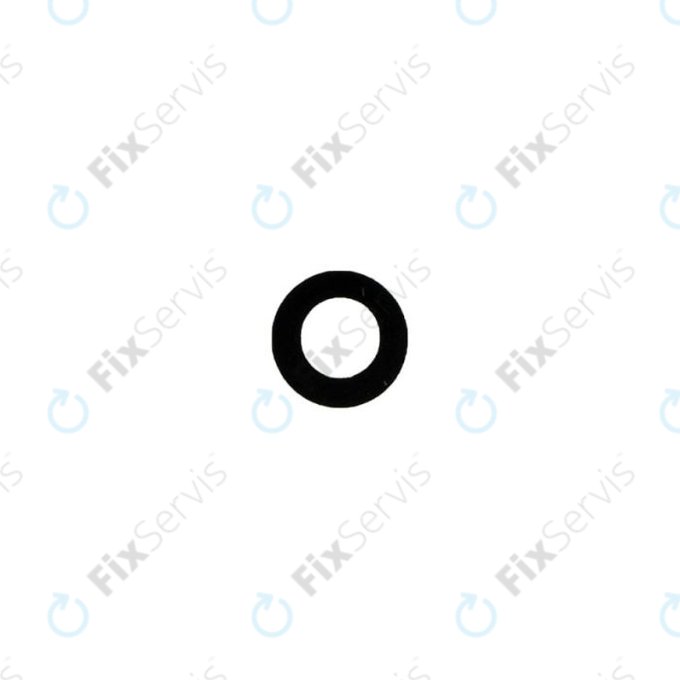 Apple iPad Mini 4 - Sklíčko Zadnej Kamery