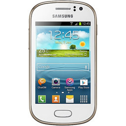 Samsung Galaxy Fame S6810P