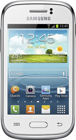 Samsung Galaxy Young S6310