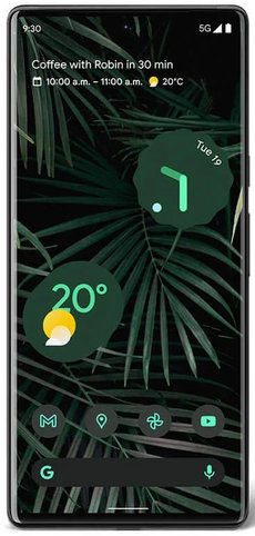 Google Pixel 6 Pro GLUOG G8VOU