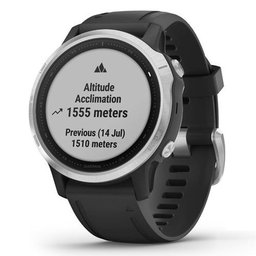 Garmin Fenix 6S